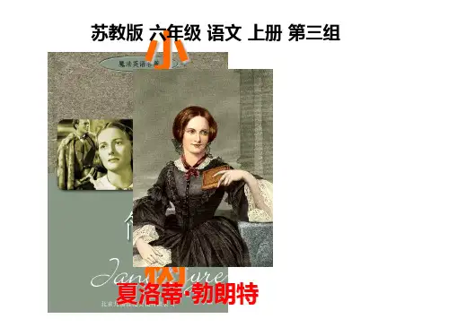 (苏教版)六年级语文上册 小草和大树 1PPT课件