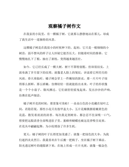 观察橘子树作文