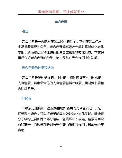 光合色素文档