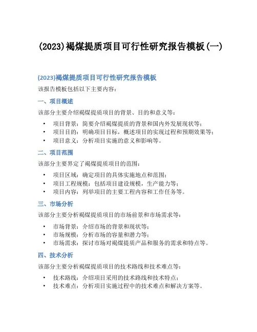 (2023)褐煤提质项目可行性研究报告模板(一)