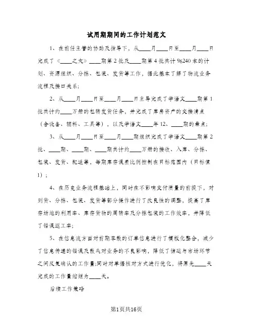 试用期期间的工作计划范文(8篇)