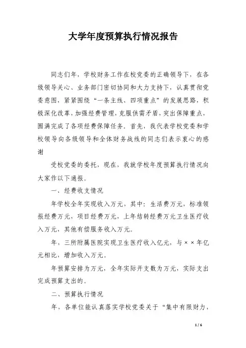 大学年度预算执行情况报告（范文）