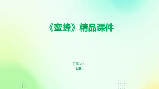 《蜜蜂》精品课件