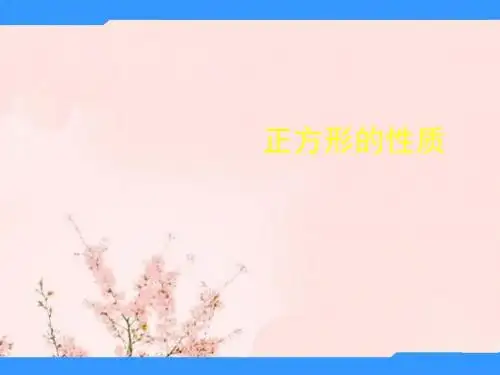 八年级数学下正方形课件浙教版