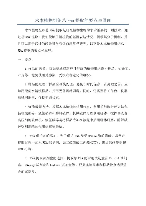 木本植物组织总rna提取的要点与原理