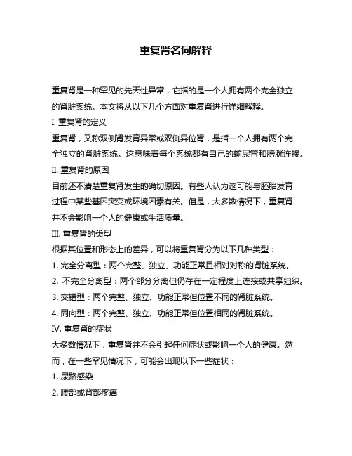 重复肾名词解释