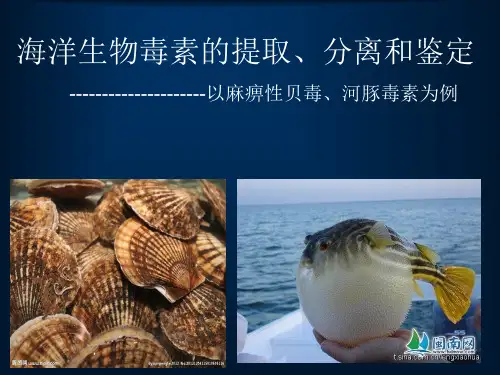 海洋生物毒素的提取