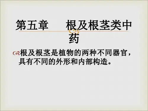 第五章 根及根茎类中药概述
