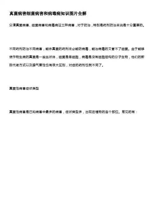 真菌病害细菌病害和病毒病知识图片全解
