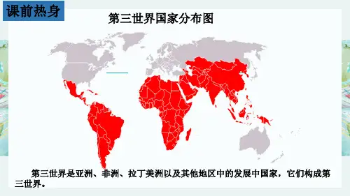 人教部编版九年级历史下册课件：第19课 亚非拉国家的新发展(共24张PPT)