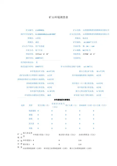 矿山环境调查表