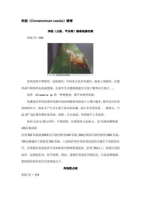 测井HSE“两书一表”编写流程与编写过程应注意的问题.doc