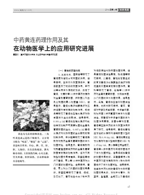 中药黄连药理作用及其在动物医学上的应用研究进展