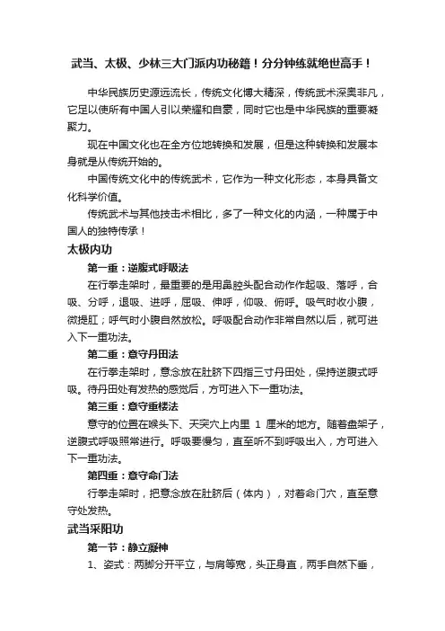 武当、太极、少林三大门派内功秘籍！分分钟练就绝世高手！