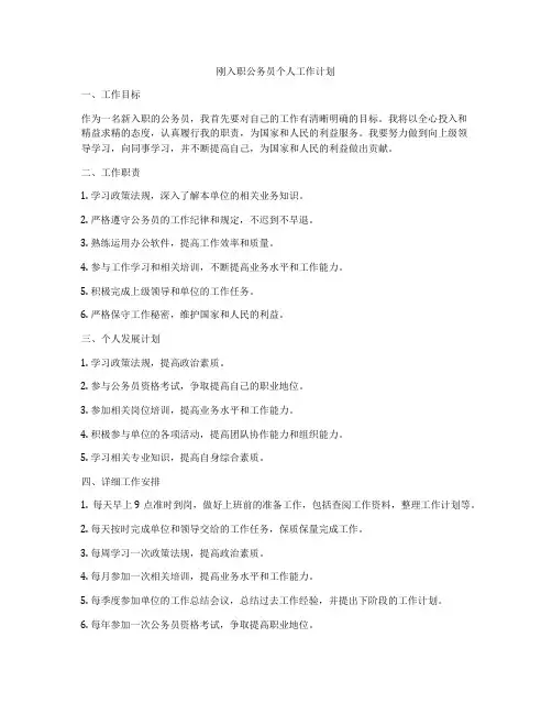 刚入职公务员个人工作计划