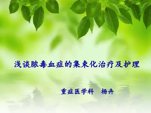 脓毒血症护理PPT课件
