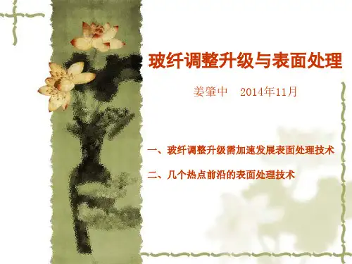 表面处理技术在我国玻纤产业调整升级中的作用全国玻璃纤维专业