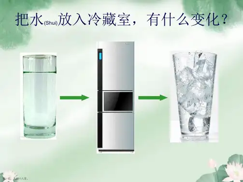 教科版三年级上册科学《水结冰了》