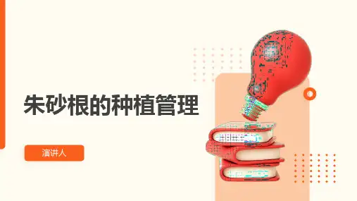 朱砂根的种植管理