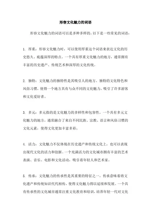 形容文化魅力的词语