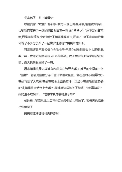 捕蝇草优秀作文三年级500字