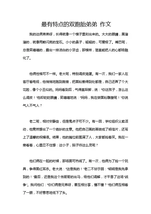 最有特点的双胞胎弟弟 作文