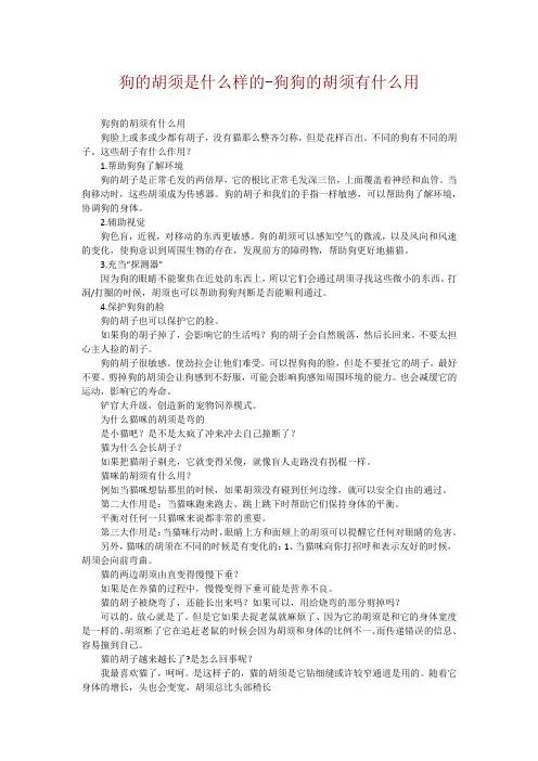 狗的胡须是什么样的-狗狗的胡须有什么用