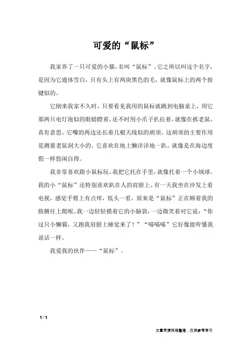 可爱的“鼠标”_小学作文