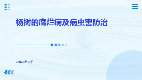 杨树的腐烂病及病虫害防治