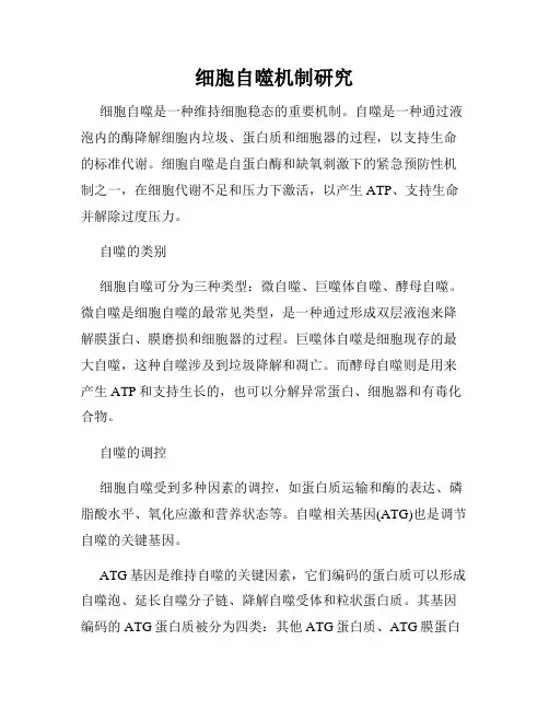 细胞自噬机制研究