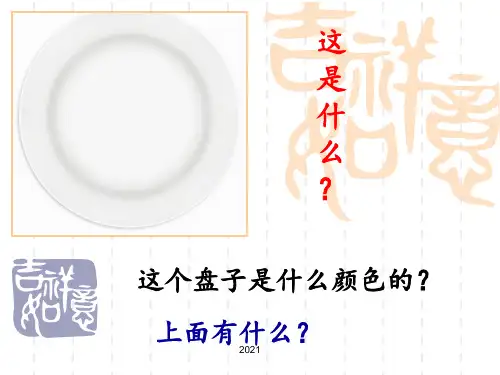 美术《美丽的盘子》PPT课件