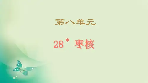 新版三年级下册-28.枣核 人教(部编版)(共7张PPT)