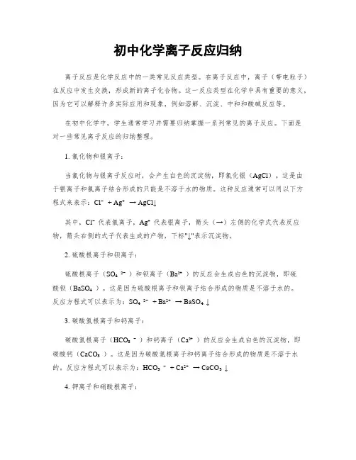 初中化学离子反应归纳