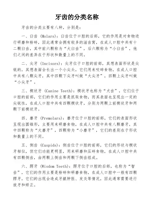牙齿的分类名称
