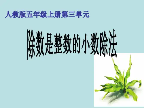 人教新课标五年级上册数学第三章除数是整数的小数除法 (共11张PPT)