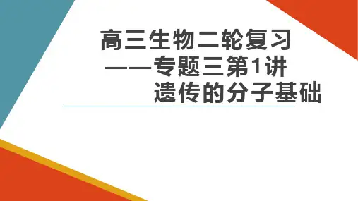 高三二轮复习 遗传的分子基础56PPT