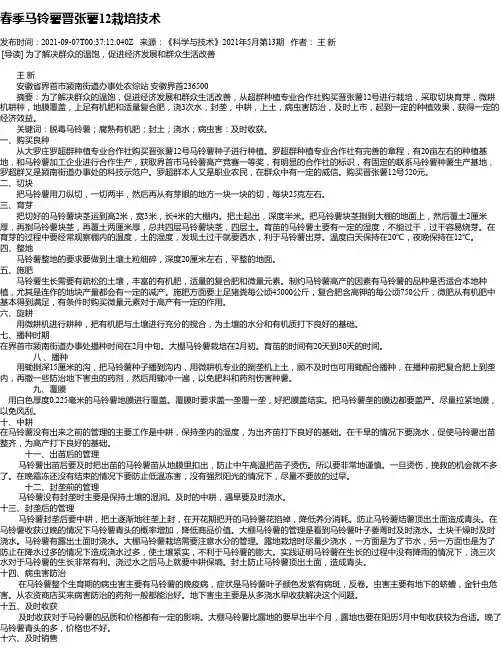 春季马铃薯晋张薯12栽培技术