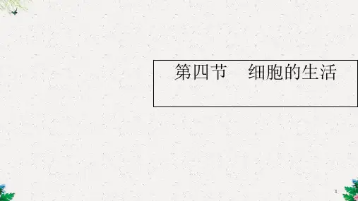 七年级生物上册2.1.4细胞的生活课件新版新人教版