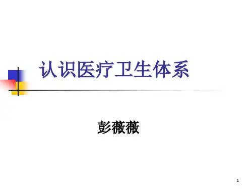 护理学导论认识医疗卫生体系 ppt课件