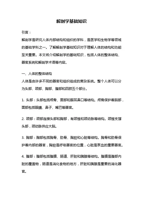 解剖学基础知识