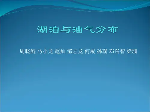储层地质学