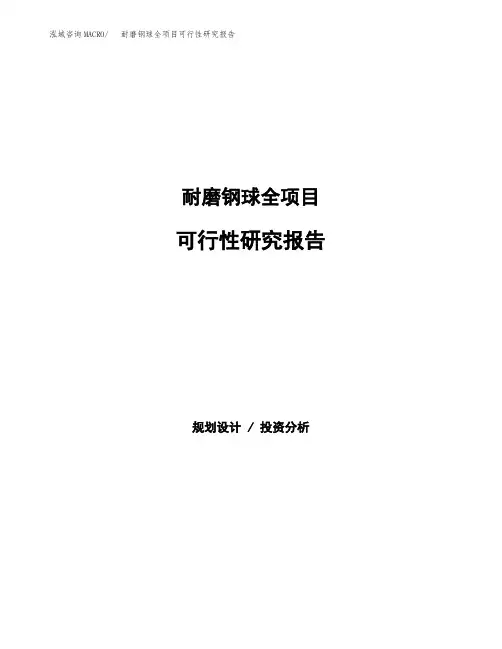 耐磨钢球全项目可行性研究报告样例参考模板