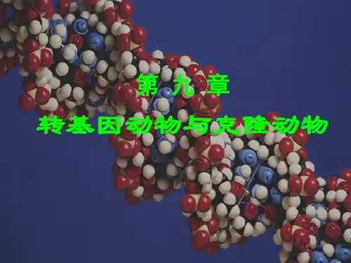 第九章 转基因动物与克隆动物