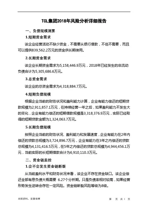 TCL集团2018年财务风险分析详细报告
