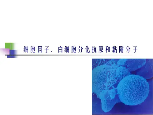 医学免疫学—细胞因子