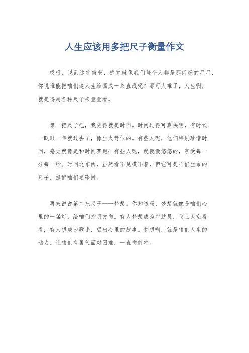 人生应该用多把尺子衡量作文