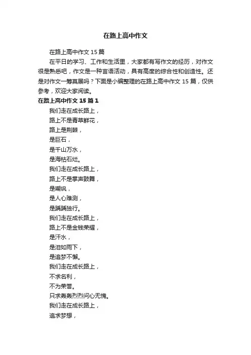 在路上高中作文