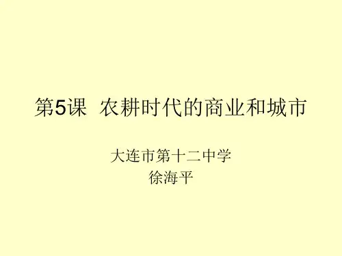 岳麓书社版高中历史必修二1.5《农耕时代的商业与城市》 课件(24张)(共24张PPT)