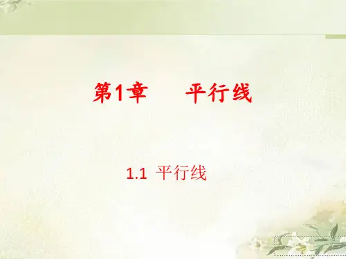 浙教版七年级数学下册：第一章 平行线 教学课件