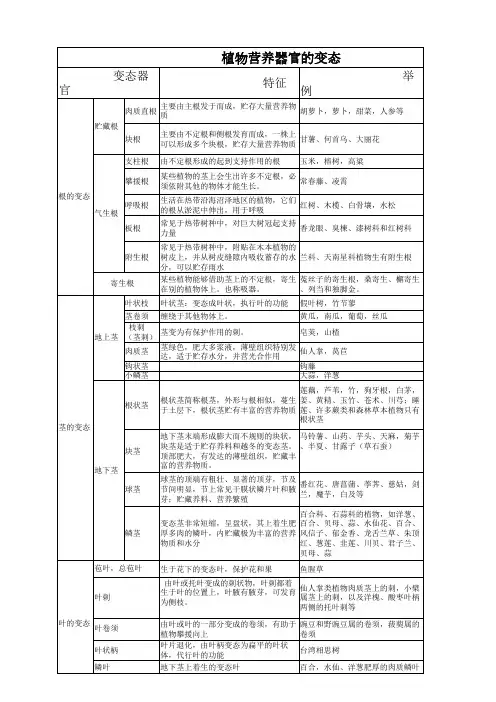 植物器官的变态——定稿